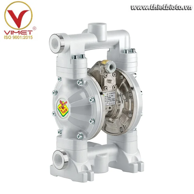Thiết bị bơm màng 60 lít Raasm 2B3/16117HH5